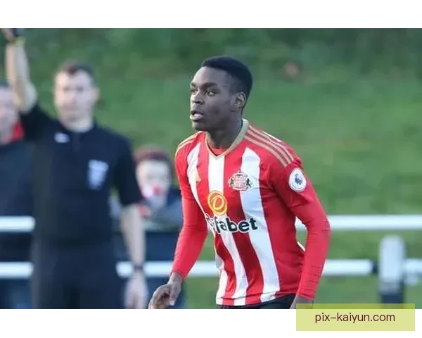 纽卡斯尔战术体系分析：表现稳健，战术执行力提升显著