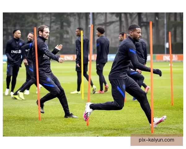 世界杯欧洲区预选赛荷兰表现回暖，近期状态持续提升